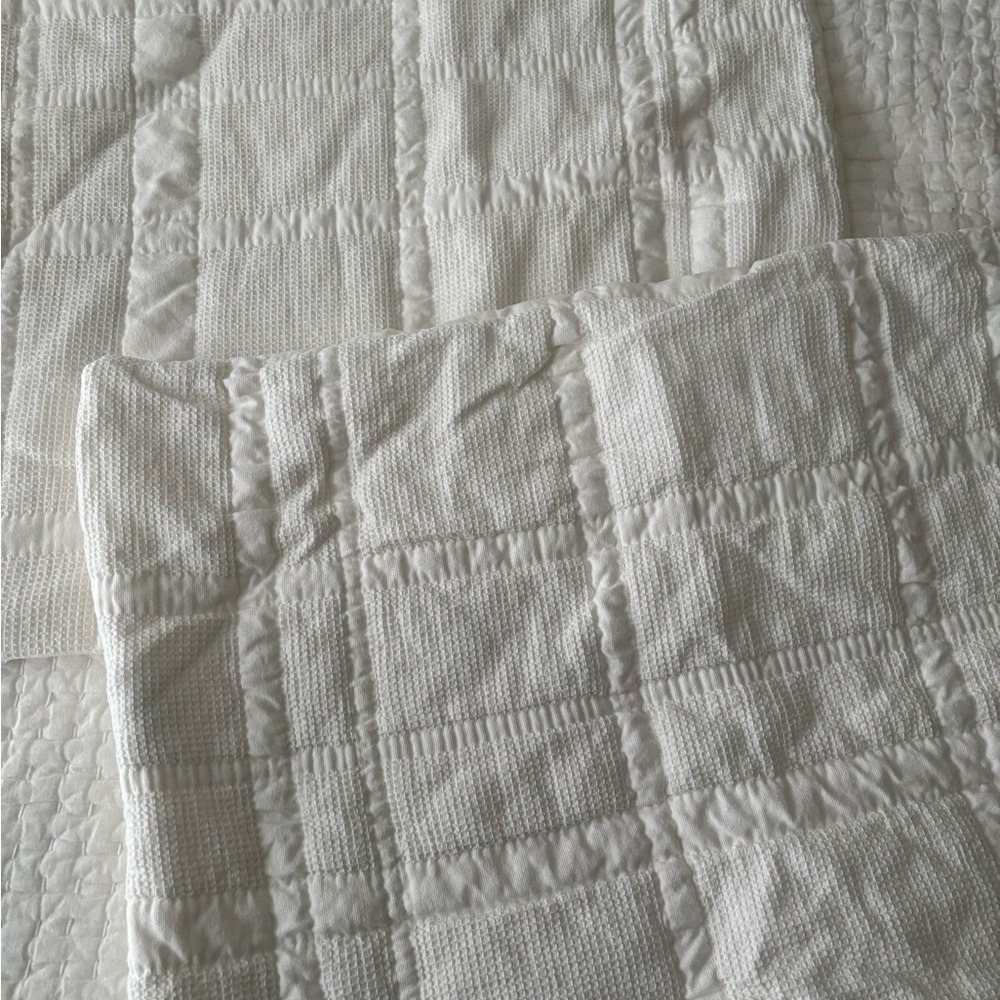 Pair of Studio McGee Pillow Shams